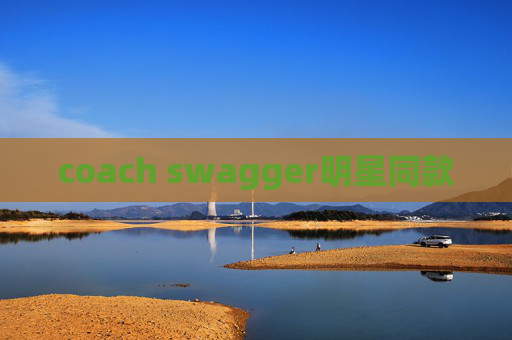 coach swagger明星同款
